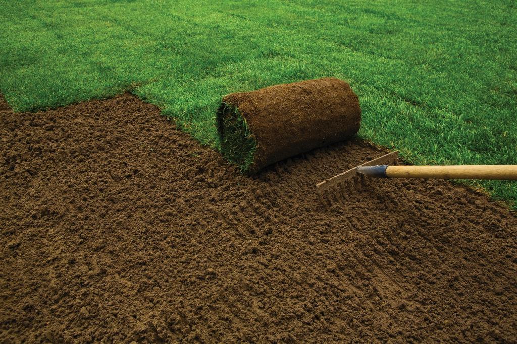WHAT TYPE OF SOD DO I NEED? Bermuda: Bermuda needs at least 8 hours of sun per day and can be planted year-round. It is a warm-season turf which is very aggressive and spreads rapidly.