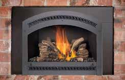 Finishing Your Fireplace Insert Insert panels are used to close off the opening of your fireplace when installing a gas insert. Fireplace Xtrordinair offers a choice of five looks.
