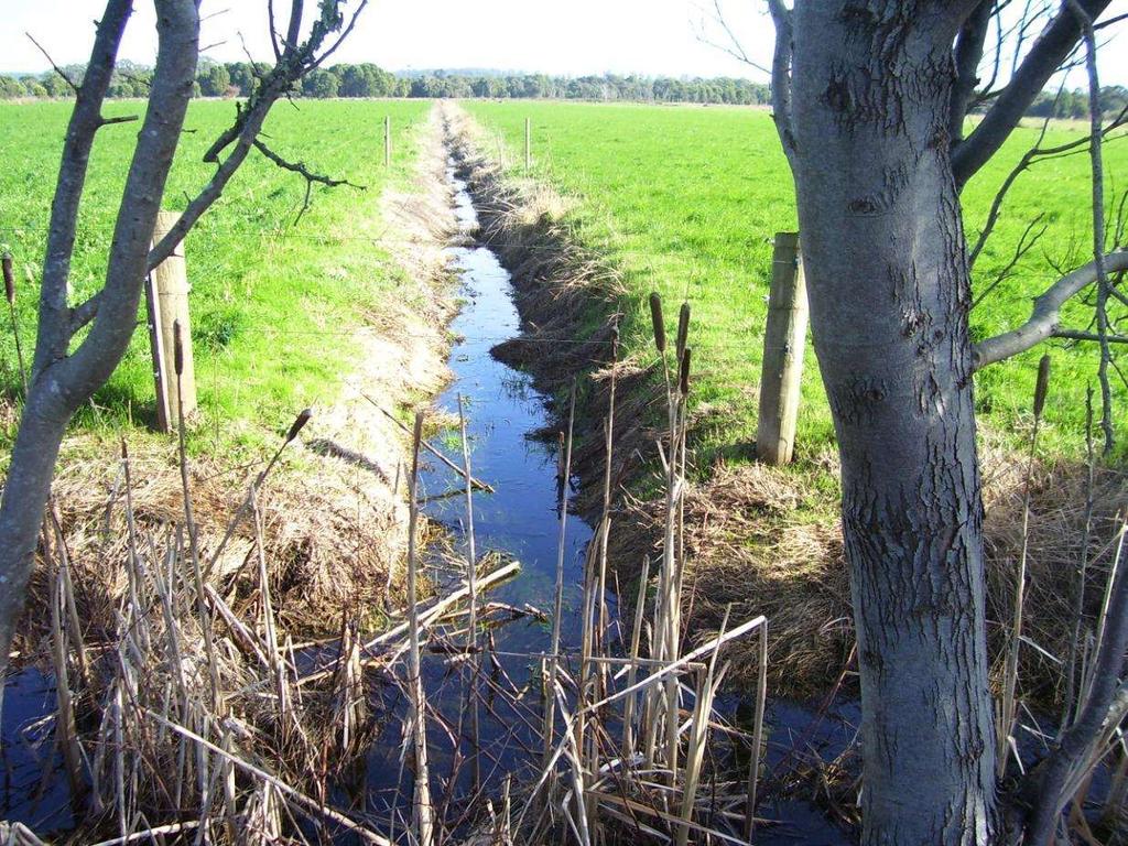 Drain management Deep open ditches need to be fenced on