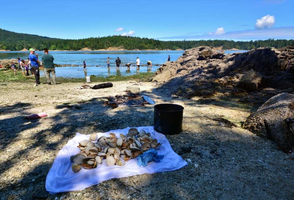 Clam Garden Eco-cultural Restoration in the southern Gulf Islands Photo: Iain