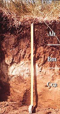 Summary: Physical Properties of Soils Texture