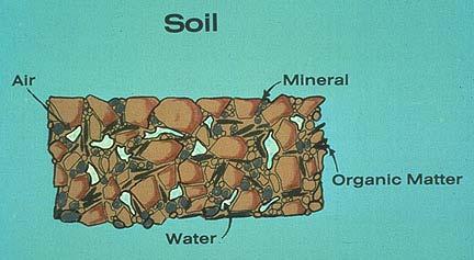What is a Soil?
