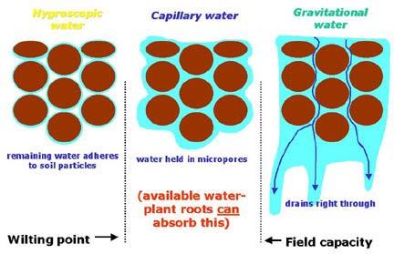 Soil water-holding capacity