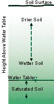 Water Table - the upper surface of groundwater; the level below which the soil is saturated with water