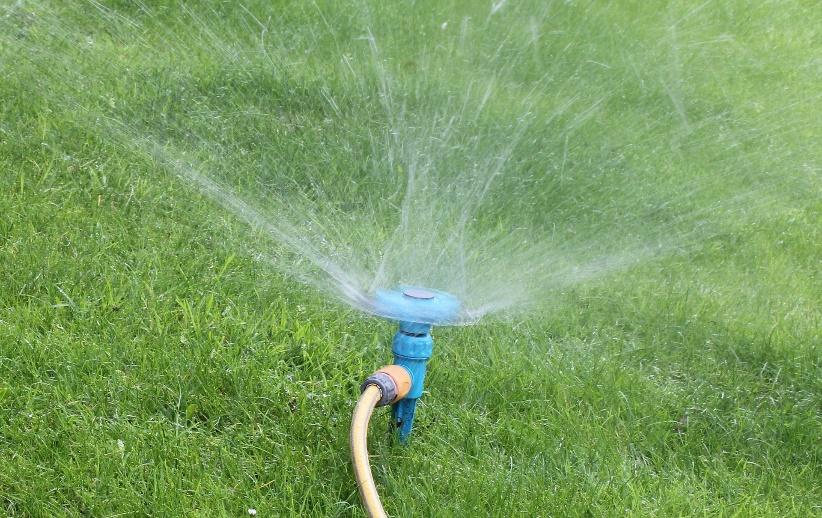 vary throughout the season. A typical bluegrass lawn may need one inch of water early in the summer (May-June), up to two inches during July and August and one inch in September and October.