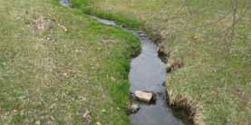 A vegetated buffer of trees, shrubs, and native herbaceous plants is proposed along both sides of the Jordan River and Cascade Creek to slow the flow of surface runoff and to trap pollutants, silt,