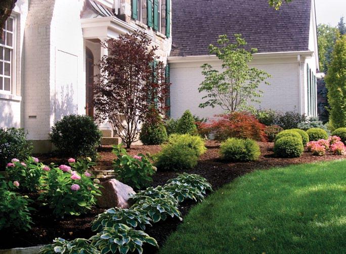 Boosting curb appeal After 22 years, this Montgomery home s original landscaping needed more than