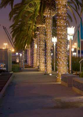 LIGHTING LIGHTING S4: Landscape Accent Light S5: Tree-Mounted Ring S6: Festoon Lighting S7: Bollards S8: Accent Blue Light This type of lighting is used to provide accent lighting of palm trees at