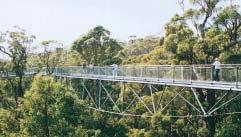 The whole Natural vegetation should be protected and recovered. The aesthetic value of a bridge will be greatly enhanced if the natural bushland around the bridge is protected and recovered.