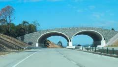 By the careful siting and design of the bridge and approaches, so that significant stands of existing vegetation are retained.