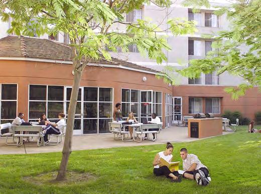 The open spaces in residential areas play an important role in support student success by facilitating socialization and the informal interactions that are complimentary to academic pursuits.