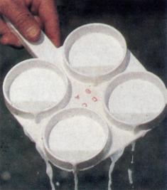 Siekiant nustatyti SLS piene, naudojami netiesioginiai arba skubios diagnostikos testai. Jie atliekami melžimo aikštelėje.