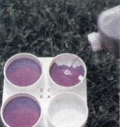 Į atitinkamą specialios lėkštelės duobutę atskirai iš kiekvieno tešmens ketvirčio įmelžiamos paskutinės pieno čiurkšlės (paskutinėse pieno čiurkšlėse SLS