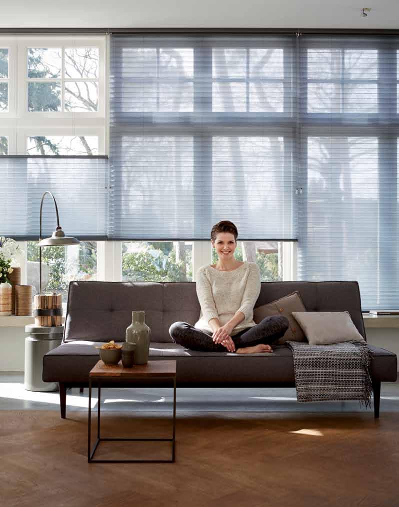 Duette Shades Filtering light and insulating your