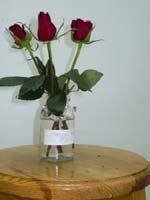 quality of rose cut flowers Treatments Vase life values (day) AgNO 3 30 ppm 12.5 b AgNO 3 30ppm+ 3% sucrose 14.