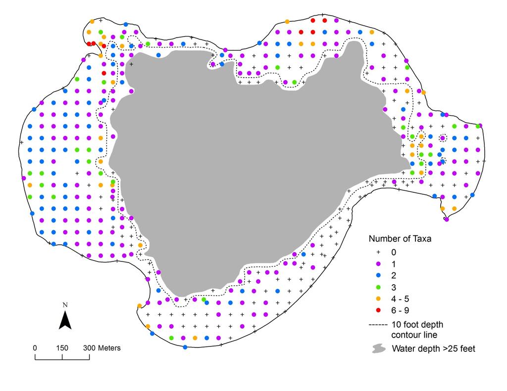 MAP 7. NUMBER OF PLANT TAXA PER SAMPLE SITE, ROUND LAKE, 2013.