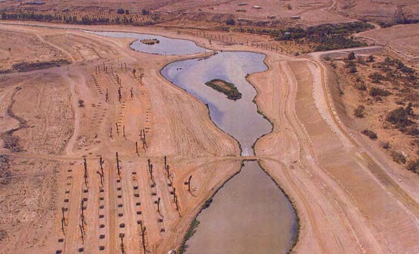 Riyadh is the only city worldwide which is reconstructing a river from its beginning to the end. The aim is a sustainable ecosystem which serves both men and nature.