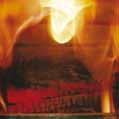 Nestor Martin s patented Woodbox combustion technology uses a combination of natural chimney draft and preheated air, driven slowly and evenly towards the flame.