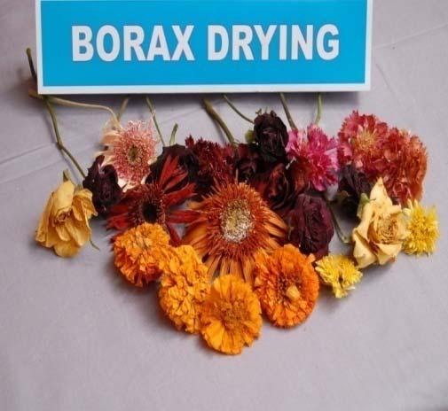 Flowers dried in this method retained colour and drying time is also less but the shrinkage off lower is seen in this method. It is noted from the Fig.