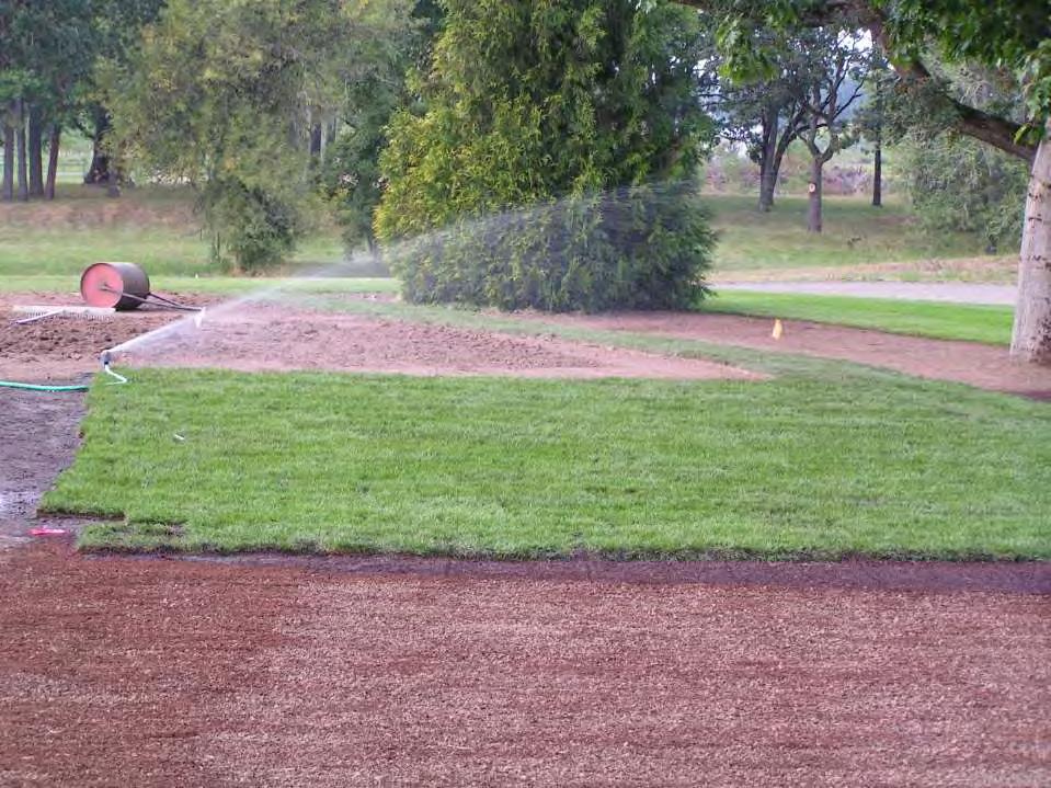 Irrigation should be applied to sodded lawns soon after