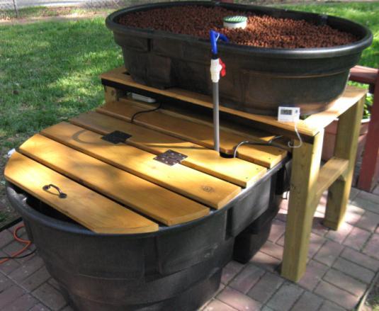 Do-It-Yourself Backyard Aquaponic Systems Backyard aquaponics as a hobby is emerging as more people wish to experiment with it Aquaponics is a hybrid food growing technology that combines aquaculture