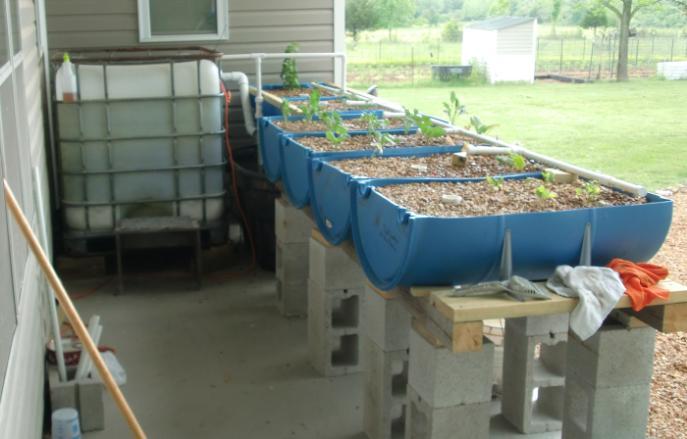 Aquaponics is intended to be a production system that incorporates principles of water conservation and sustainable vegetable production.