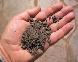 10. How to Use Toilet Compost in the Garden Toilet varies a great deal in texture and colour depending on the amount and type of soil added.