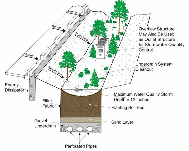 Rain Gardens/Bioretention Systems