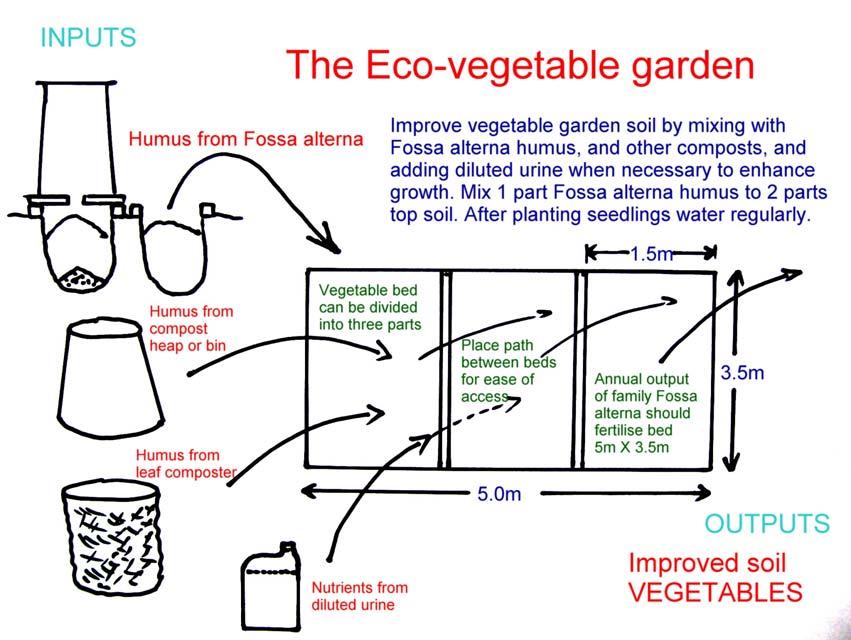 9. The Fossa alterna and the vegetable garden We now combine the use of the eco-toilet and the vegetable garden so they can operate with one common aim to provide more food for the family.