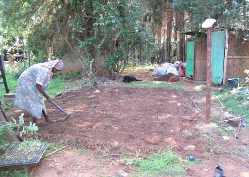 1. Preparing and managing an eco-garden linked to the Fossa alterna In this case a special small vegetable garden was prepared near to the toilet to use the yearly