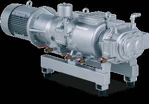 Screw vacuum pumps The dry and contact free operation of the Elmo Rietschle S-Series screw vacuum pumps requires no lubrication in the pumping