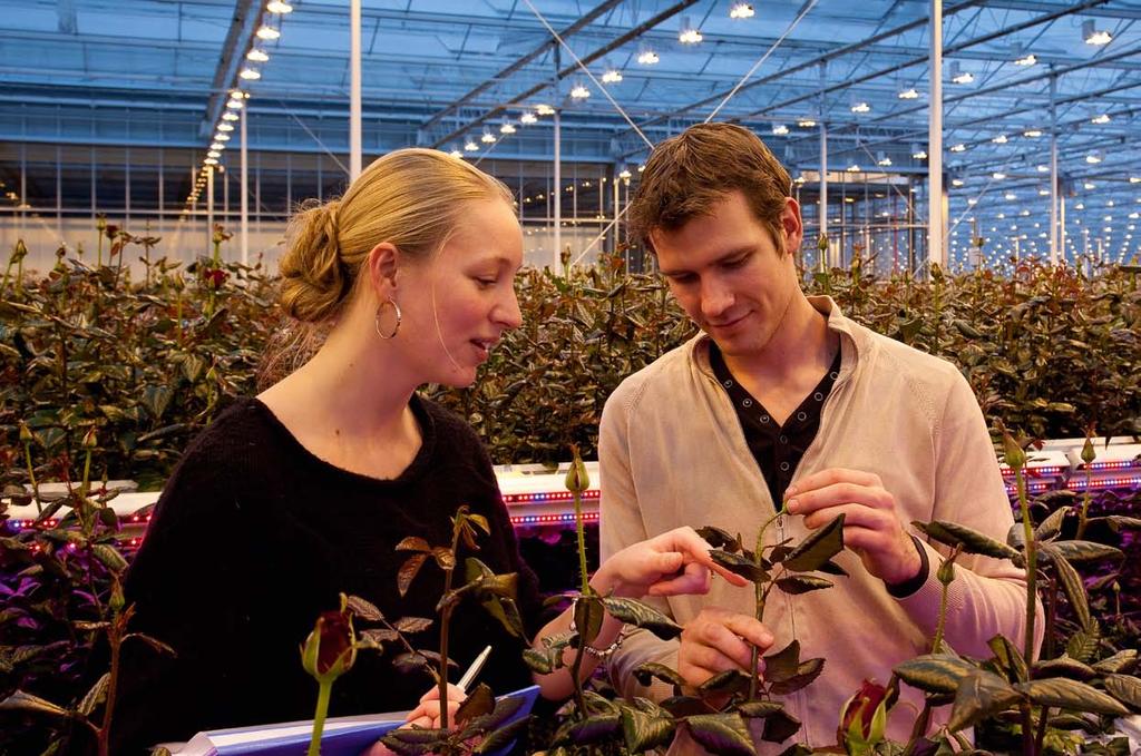 Philips Lighting in horticulture Philips has been developing light sources for horticulture for many years and continues to invest heavily in horticultural lighting.