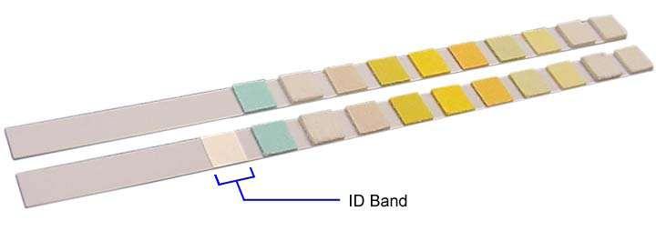 Infrared signature on ID band drives Auto-Checks Siemens has updated urine test strips to include a new identification (ID) band, which has been added near the strip handle.