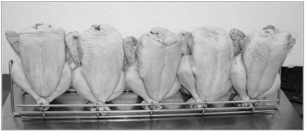 Figure 11 For preparing chicken or any other poultry in the racks, you can use Picture 1 as an example. Picture 1 4.3.5. Loading the rotisserie using two different accessories.