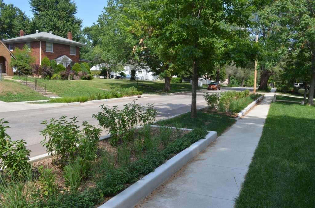 Alternative Uses of Compost: Rain Gardens and Green Solutions for Stormwater Management Photos: