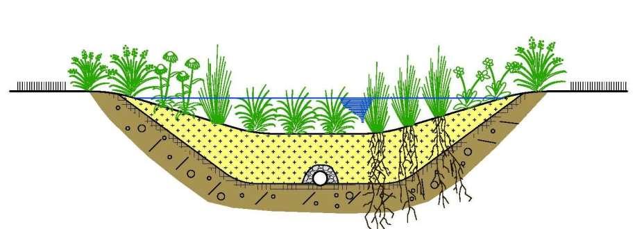 Bioretention Garden Engineered Soil &