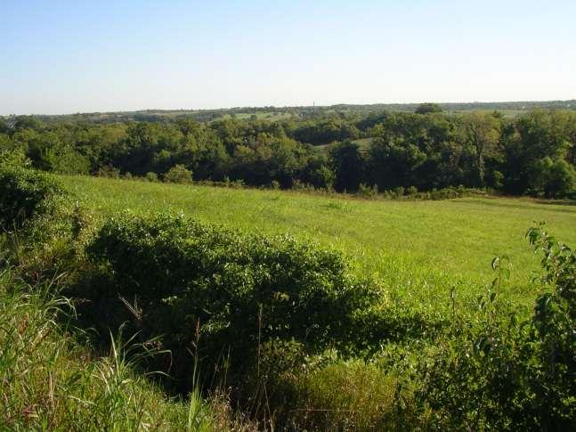 The Midwest Landscape Prairie,