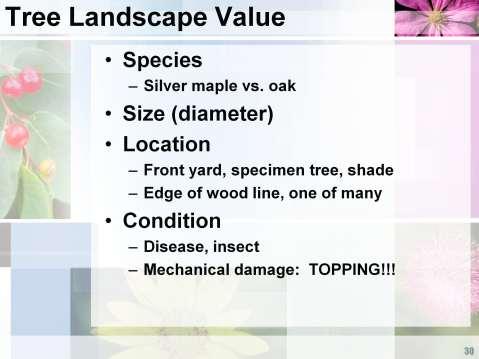 Tree Landscape Value based on species, size,
