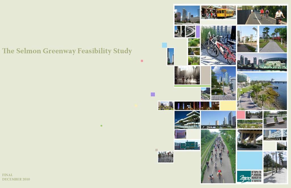SELMON GREENWAY FEASIBILITY STUDY FEASIBILITY STUDY ELEMENTS Proposed alignment Conceptual plan Multimodal connectivity Pocket