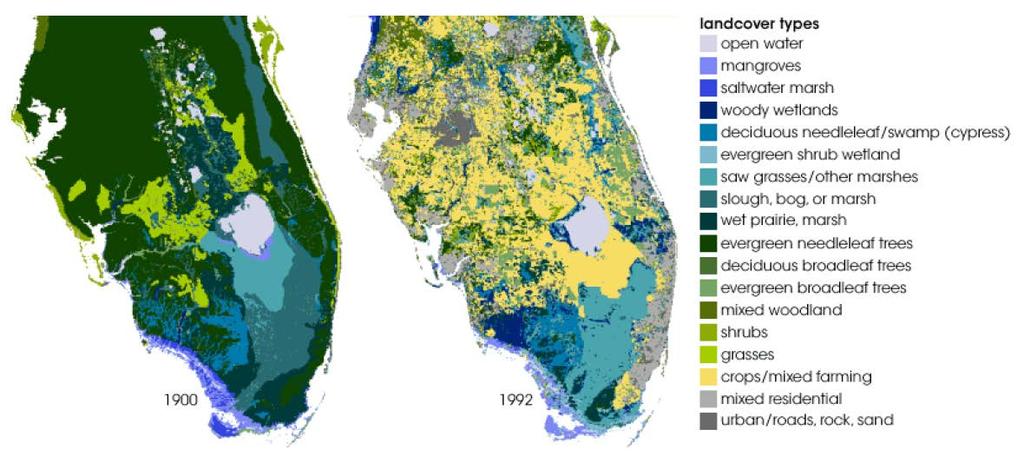 Reconstructed original landscape (Pielke et al) for Florida land cover conversion to
