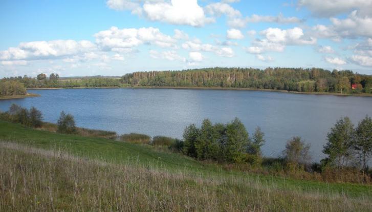 28 3.5 pav. Alšios upės fragmentas (Panoraminis, 2014) Nemaţai eţerų yra Alšios baseine, dėl to upė vandeninga ir vasarą. Alšios baseino plotas 137,8 km².