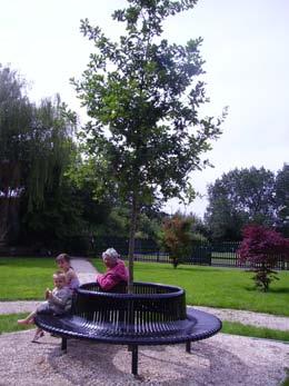 An oak tree was planted in 2007 to commemorate all the people