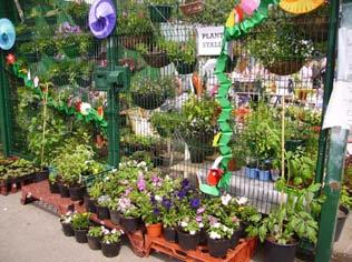 Want to become involved or rent a plot? Contact City Allotments Officer on 0161 226 3322.