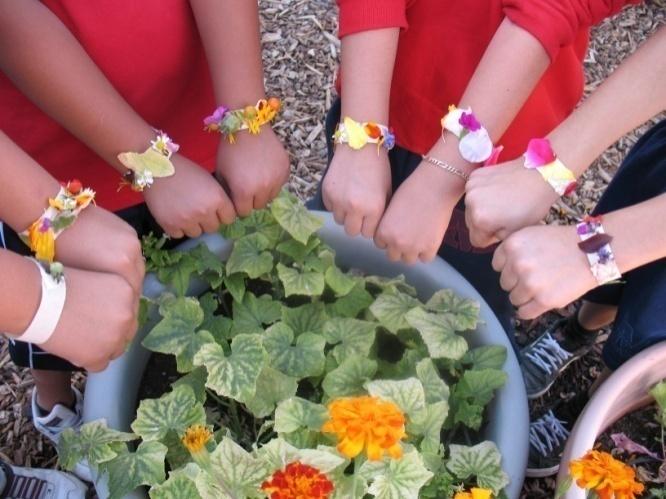 Figure 9: Gardens connect kids to nature. Conclusion Cultivate people as you cultivate plants. Your garden partners teachers, parents and others are essential to your garden s ongoing success.