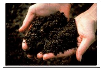 Biosolids a beneficial resource Biosolids are the nutrient-rich organic materials