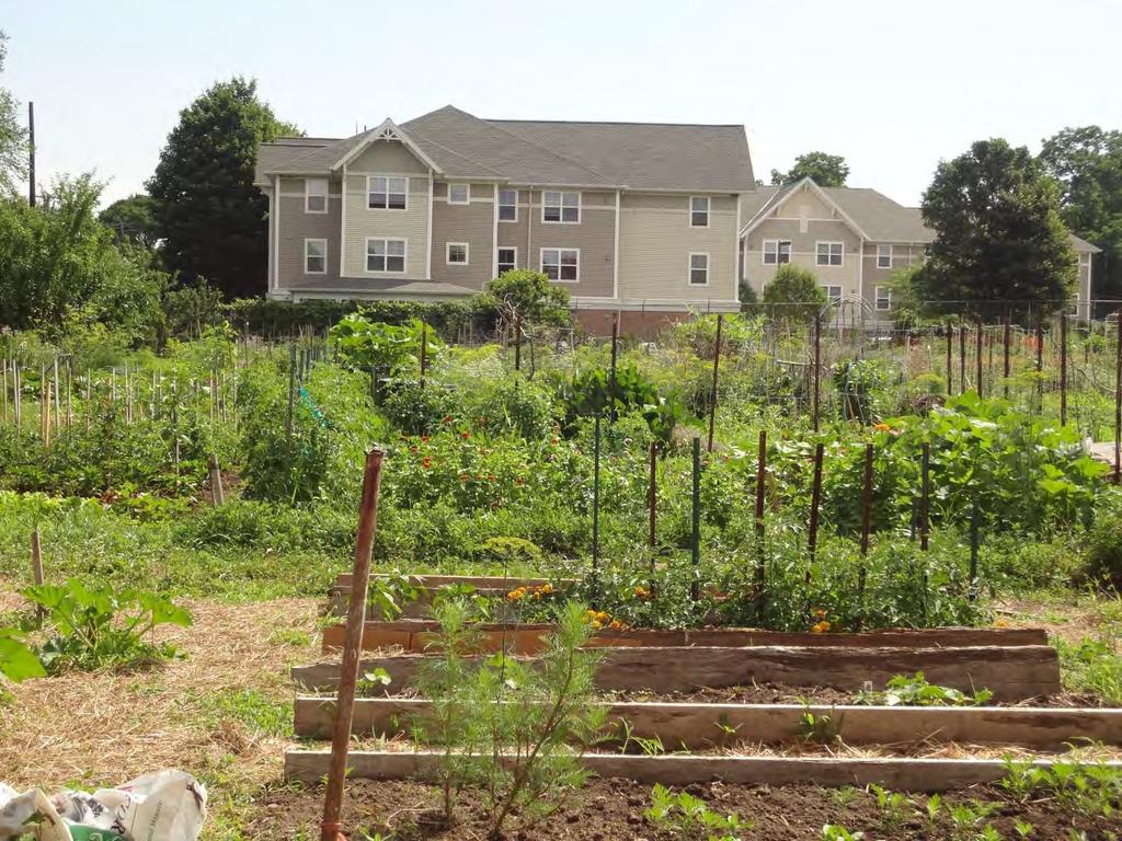 Urban Gardens While vacant lots drag down the value of