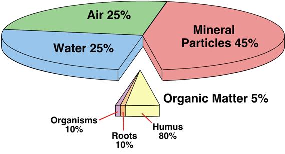 Water Infiltration and Air in the Soil BIOLOGICAL CHEMICAL Chemical Physical Biological PHYSICAL Soil Structure 101 BUILD WATER STABLE AGGREGATES!