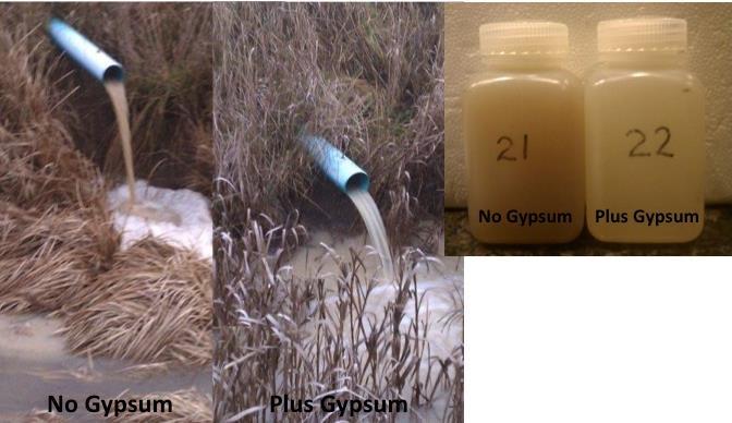 Water Quality Benefits Sulfur Grower Date with gypsum without gypsum % increase A 13 12/23/13 200.37 66.57 201% 12/23/13 200.85 66.