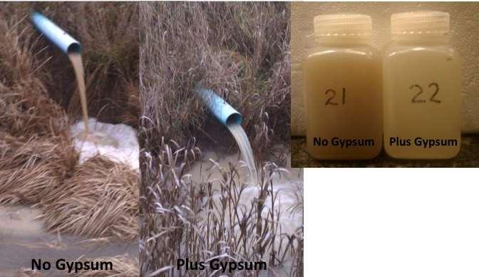 In all we have collected 162 samples, to date, and the soluble P from gypsum treated soils averaging over 50% reduction.