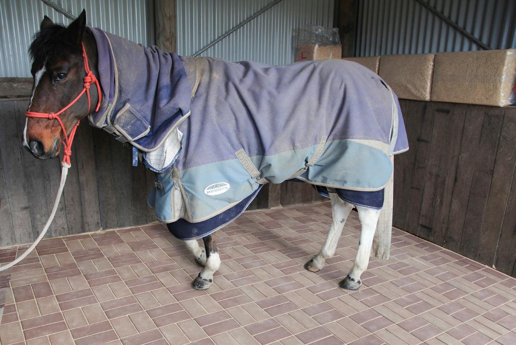 HORSE STABLE USING AZEK PAVERS When choosing a new floor for their horse stable these horse owners understood that the most common horse stable surfaces such as concrete, dirt, clay or aggregate